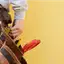Handyman repair service in Peoria, IL for home fixes and improvements