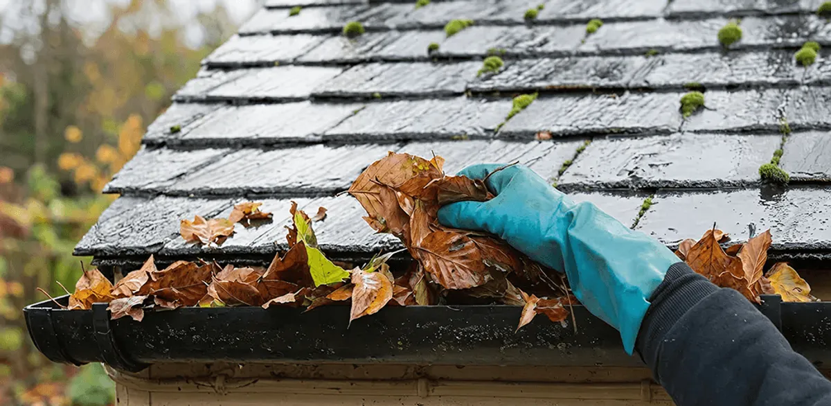 Gutter cleaning technician clearing wet leaves from roof gutters in Peoria, IL